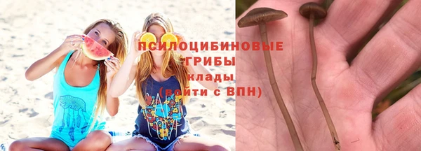 ALPHA PVP Гусь-Хрустальный