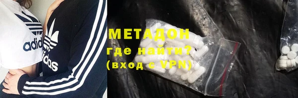 сатива Новозыбков