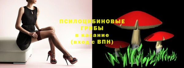 прущая мука Гусев