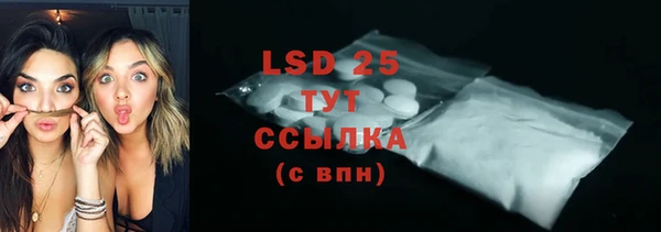 ГАЛЛЮЦИНОГЕННЫЕ ГРИБЫ Гусиноозёрск