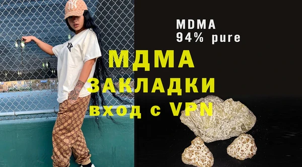 индика Дмитриев