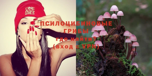 ГАЛЛЮЦИНОГЕННЫЕ ГРИБЫ Гусиноозёрск