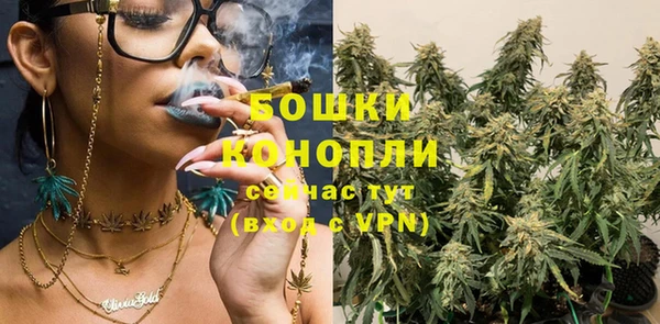 ГАЛЛЮЦИНОГЕННЫЕ ГРИБЫ Гусиноозёрск