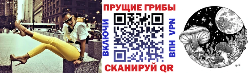 OMG как зайти  Жиздра  Галлюциногенные грибы Magic Shrooms 